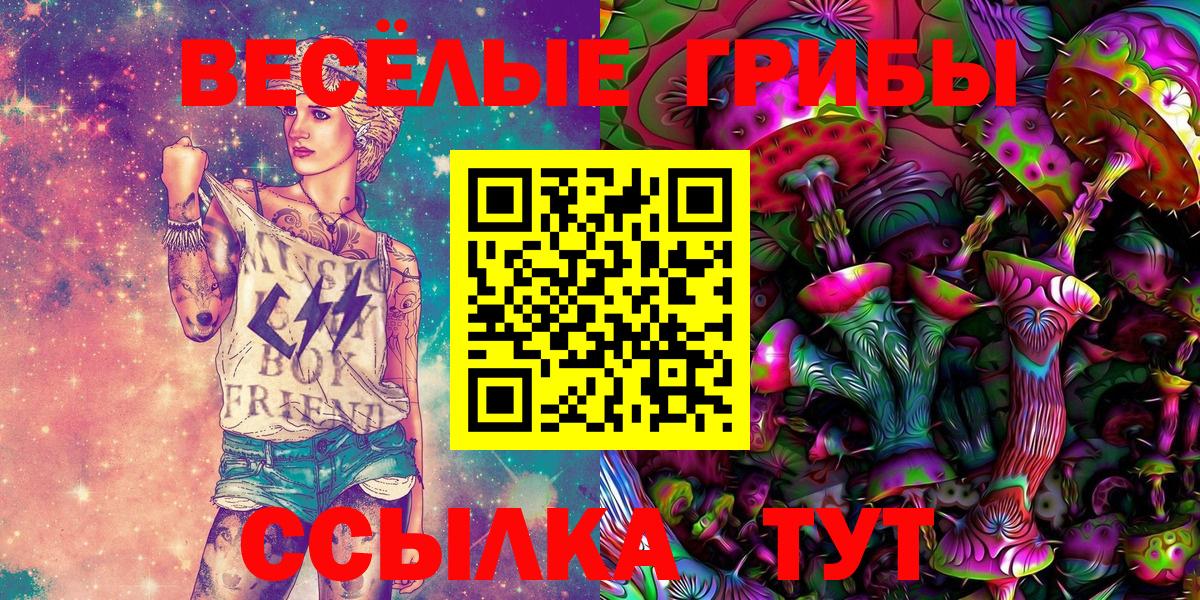 Галлюциногенные грибы GOLDEN TEACHER Брянск